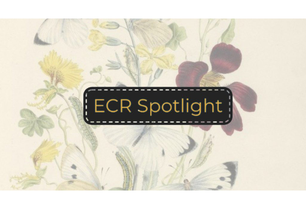 ECR Spotlight